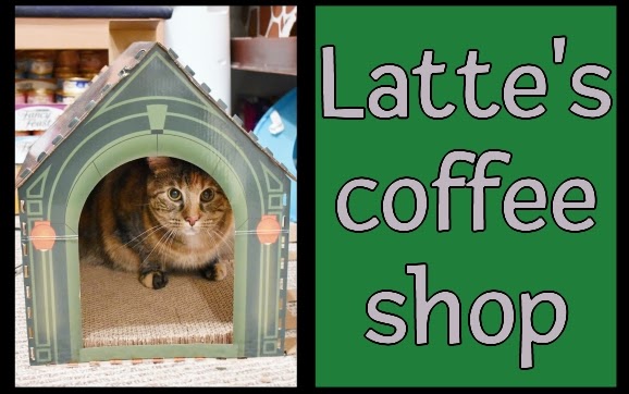 Today's re-run from January 2024: Latte's coffee shop

#cats #remodel #coffeeshop

mommakatandherbearcat.com/2024/01/lattes…