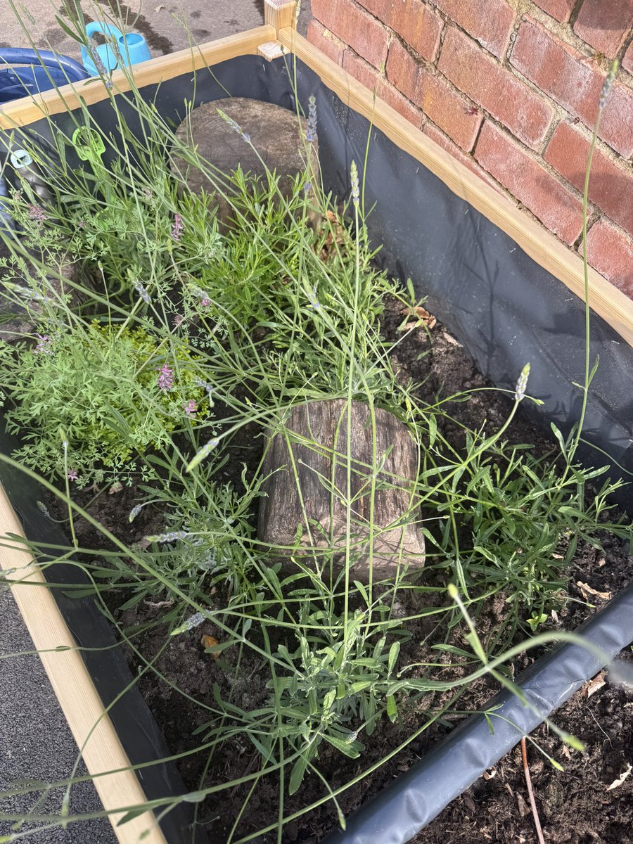 Great Gaddesden CE (VA) Primary School tweet media