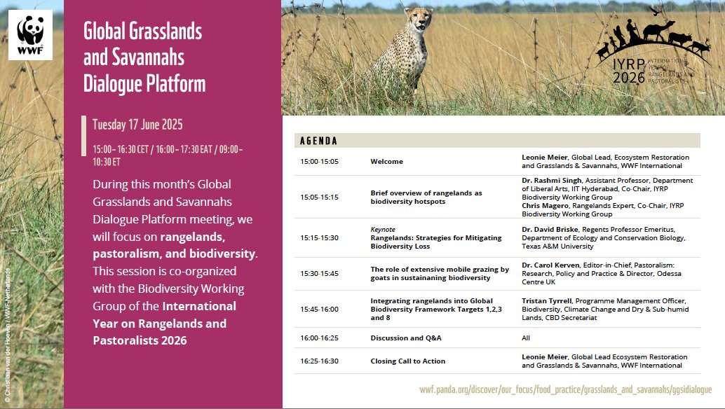 I am pleased to invite you to a webinar on “Rangelands, Pastoralism and Biodiversity”, 
Organisers: IYRP Biodiversity Working Group and the Global Grasslands and Savannahs Dialogue, WWF. 
June 17, 3:00 PM CET
Speakers Dr. David Briske,  Dr. Carol Kerven and Tristan Tyrrell.