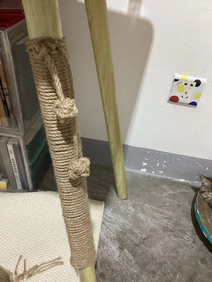 看我给小猫缠的！