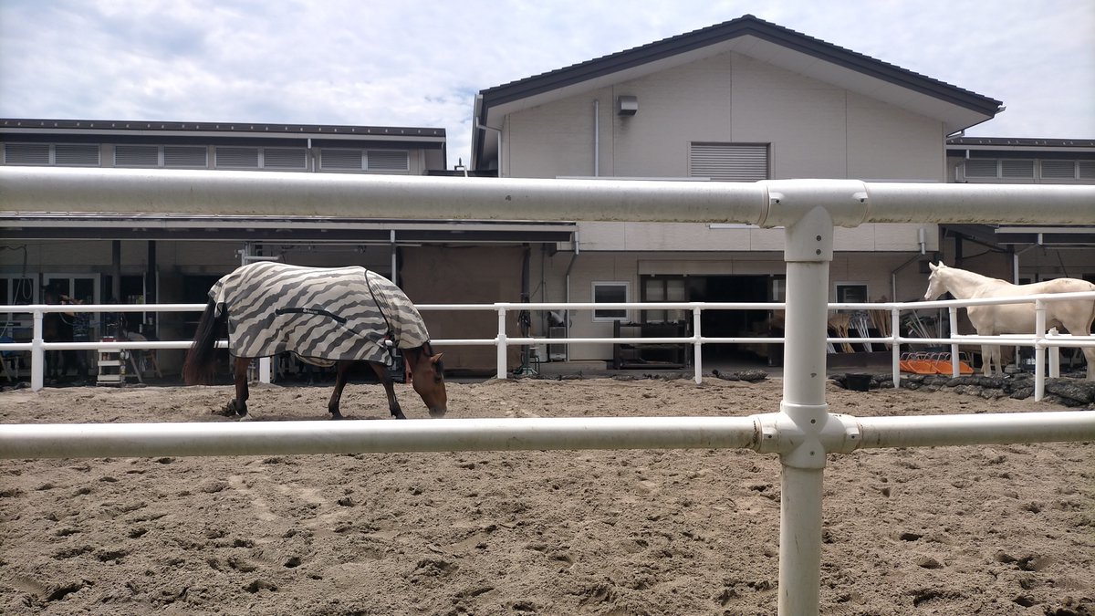 mkjskyview's tweet photo. お馬さんがいる公園へ行ってきました✨🐎
じゃぶじゃぶ水遊びもしてみんな楽しく過ごせました🥰
ランチはメインを頼んで、ハーフバイキングへ🤭
夏前にスタミナ補給！

#TokyoRacecourse
#東京競馬場
#日吉ヶ丘公園 
#食べ放題 
#馬
#しゃぶしゃぶ 
#水遊び
#大きい公園 https://t.co/cN5PmFndTy