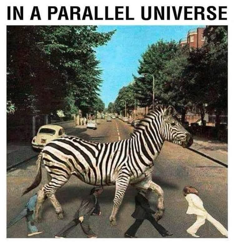 Thursday fun!