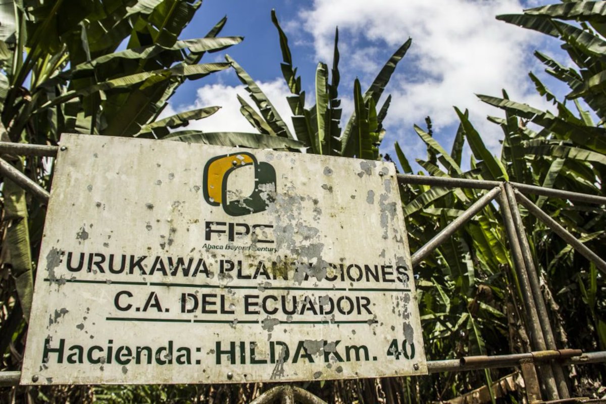 majozabalav's tweet photo. ¿Sabías que en Ecuador existió esclavitud moderna hasta 2018?

Casi nadie lo supo…

Hasta que un grupo de periodistas e investigadores se atrevieron a contar lo que la ciencia ya sabía, pero nunca comunicó.

Sigue este hilo 👇 https://t.co/jRNHK0X8Ad
