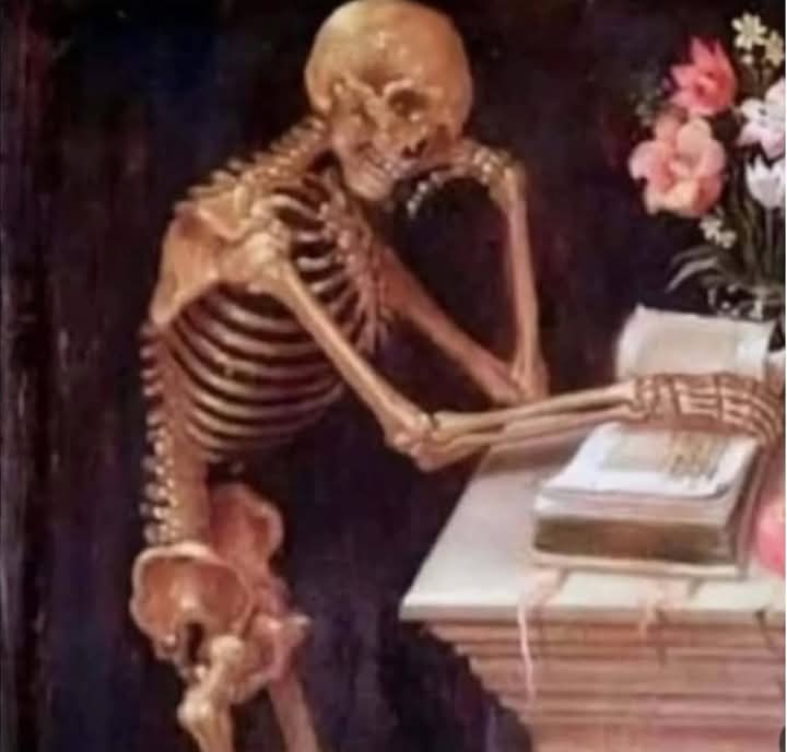 Namu's shoe waiting for him to stop wearing it.