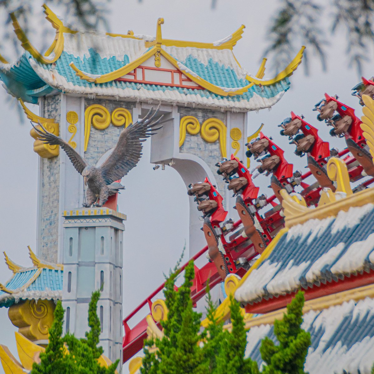 CACoasterKings's tweet photo. In this week's episode, we talk about several amazing parks in China, including Colorful Yunnan Paradise: https://t.co/tBmPAXem4A https://t.co/4wZ0UV1gGE