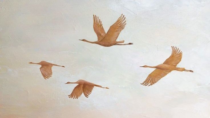 "yanlış yerde geziyor bu kuş,
bu yüzden yalnız uçuyor bu kuş..."🎶🎶