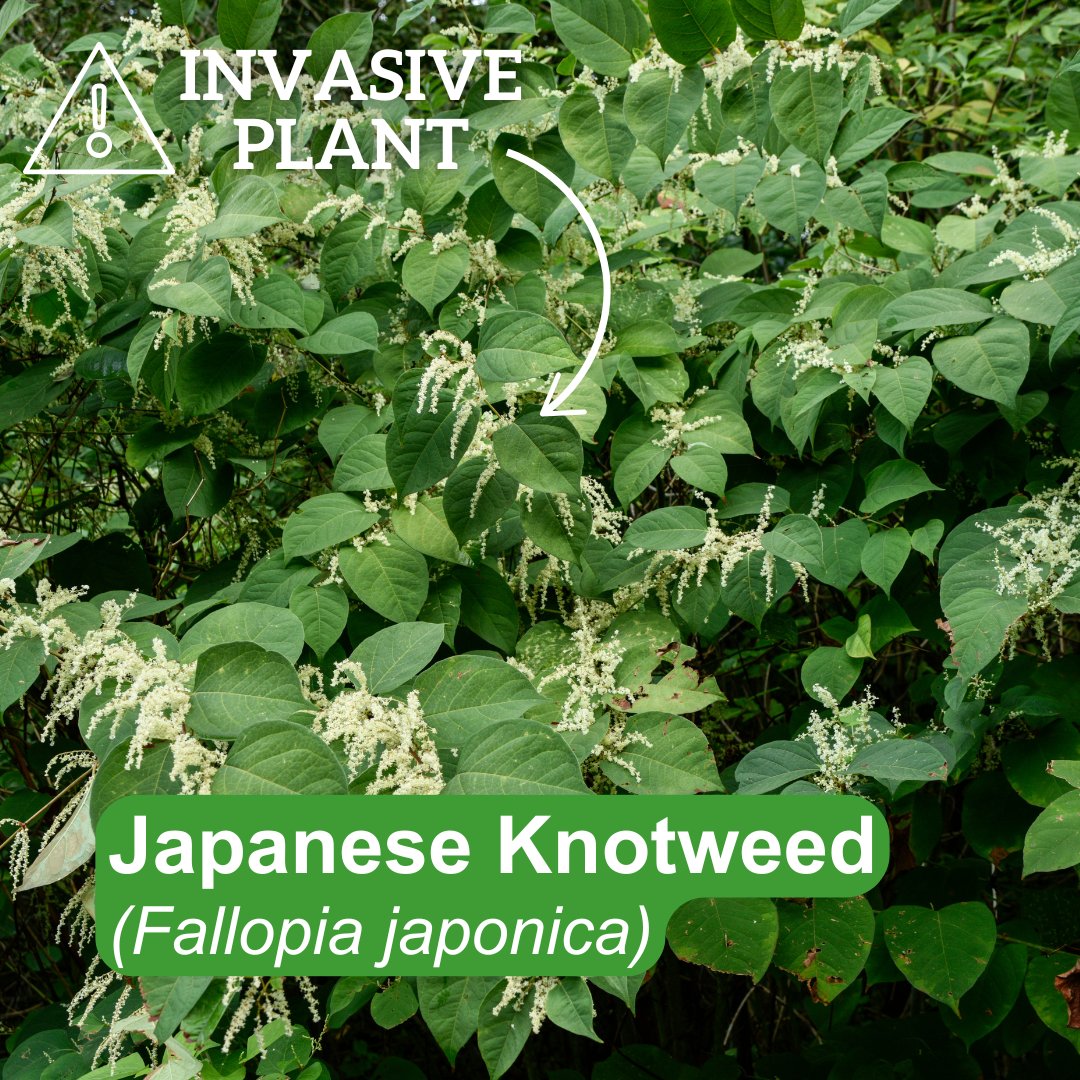 Regional District of Central Okanagan tweet media