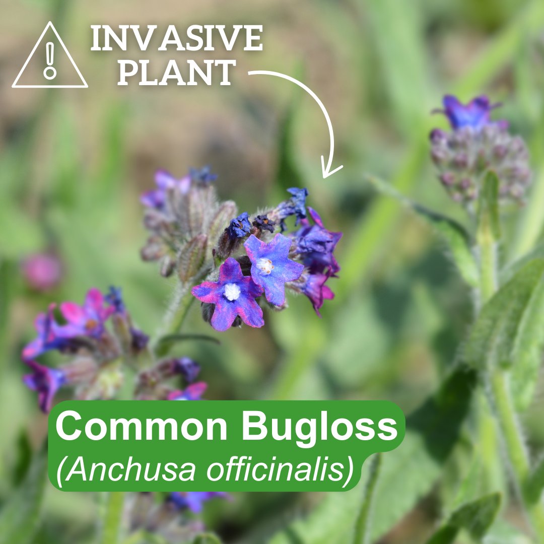 Regional District of Central Okanagan tweet media