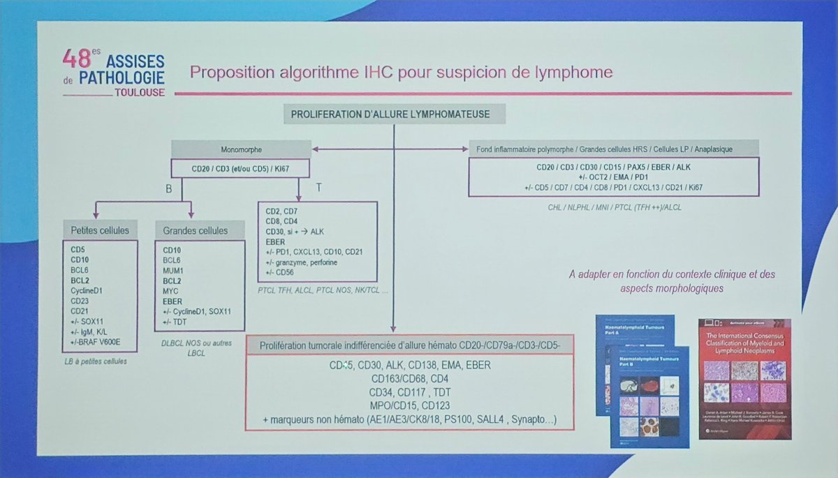 #AssisesPathologie #Toulouse2025 #Pathologie #Anapath #Médecine #CongrèsMédical #Sarcome #SoftTissue #PathologistLife #ScienceEnDirect #MedTwitter #AIP #PathTwitter