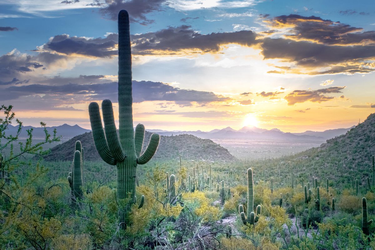 Mayo Clinic Med Ed (@mayomeded) on Twitter photo Keep your cardiology knowledge up to date with #CME from <a href="/MayoClinicCV/">Mayo Clinic CV</a> experts! 14th Annual Heart Rhythm & ECG Course: A Case-Based Approach is December 11-13 in Scottsdale, Arizona, and via livestream. mayocl.in/43ZxnZR <a href="/masry_hicham/">Hicham El Masry</a> Keep your cardiology knowledge up to date with #CME from <a href="/MayoClinicCV/">Mayo Clinic CV</a> experts! 14th Annual Heart Rhythm & ECG Course: A Case-Based Approach is December 11-13 in Scottsdale, Arizona, and via livestream. mayocl.in/43ZxnZR <a href="/masry_hicham/">Hicham El Masry</a>