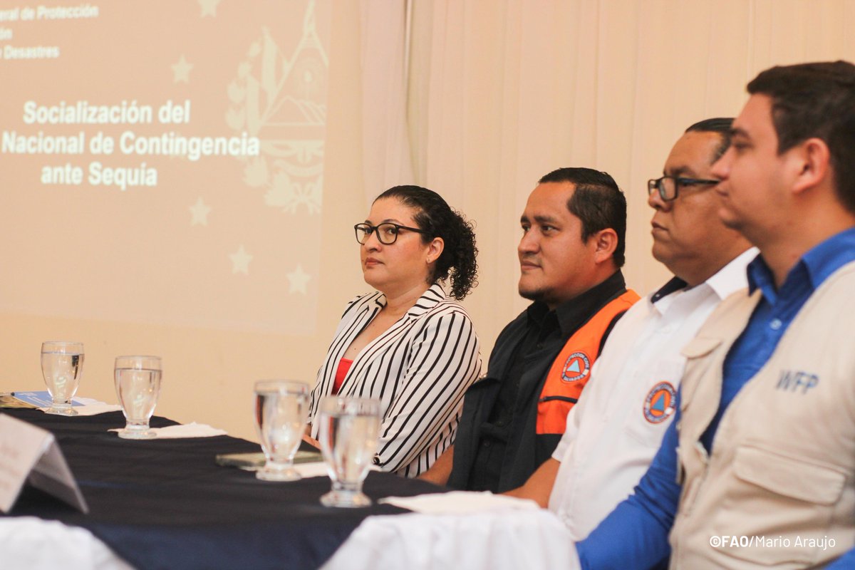 WFP_SV's tweet image. ¡La preparación salva vidas! 🚨🌾

Hoy, junto a @PROCIVILSV y @FAOElSalvador, presentamos el Plan Nacional de Contingencia ante Sequía 🌱

Una herramienta para fortalecer la preparación del país y proteger los medios de vida y la seguridad alimentaria ante las sequías.