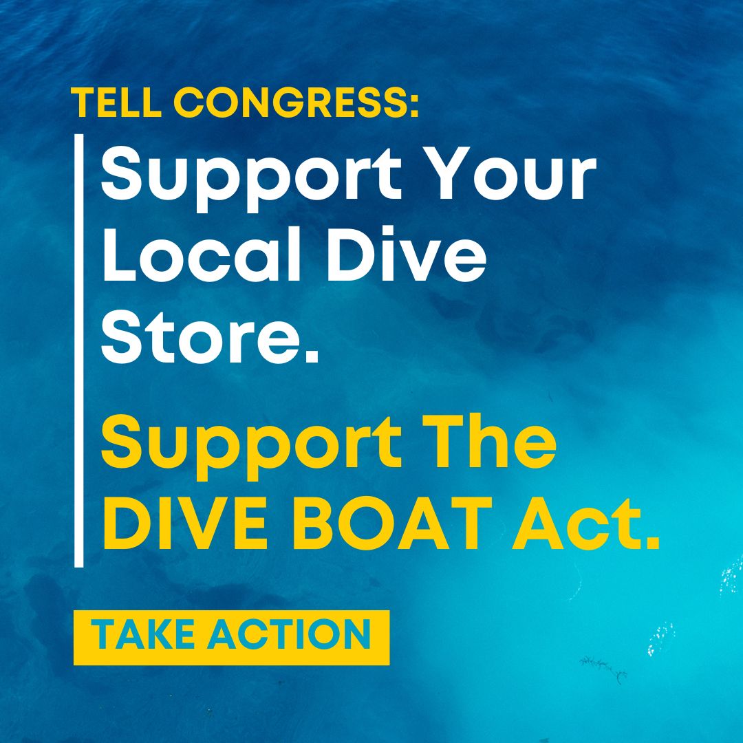 Divers, seeing a surge in the cost of dive trips? In 2022, Congress broke the insurance market for our community resulting in insurance prices skyrocketing &amp; dive biz having to raise prices to stay in business. Tell the NEW Congress to fix this mistake: bit.ly/TheDiveBoatAct