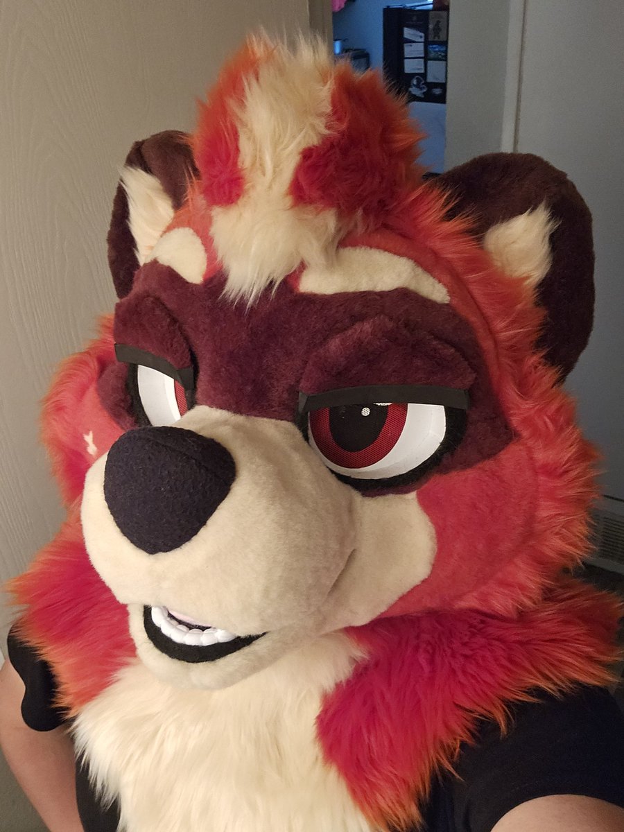 🔥± Rekkit Red Rustic ±🔥 (@rustyredbandit) on Twitter photo Hide your snacks and trash because a brand new gutter goblin has come to Aurora to pilfer your goods!
Thanks so much <a href="/BakeryFursuits/">The Bakery🔜MP</a> for helping me with what is one of the biggest moments in my life for me right now, you are such a wonderful maker and fluff! ❤️ Hide your snacks and trash because a brand new gutter goblin has come to Aurora to pilfer your goods!
Thanks so much <a href="/BakeryFursuits/">The Bakery🔜MP</a> for helping me with what is one of the biggest moments in my life for me right now, you are such a wonderful maker and fluff! ❤️