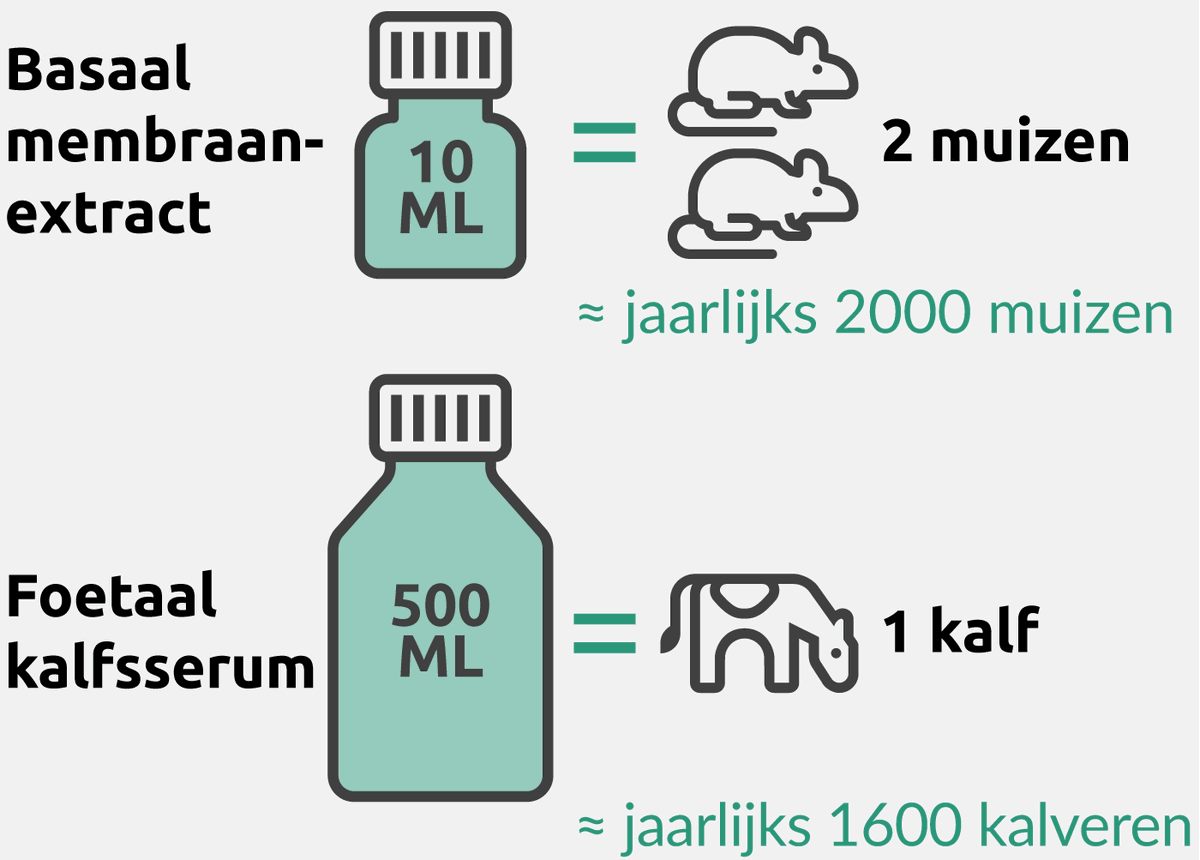 ‘Onzichtbaar diergebruik’: beste-id.nl/nieuws/onzicht…
<a href="/UniUtrecht/">Utrecht University</a> <a href="/UMCUtrecht/">UMC Utrecht</a>