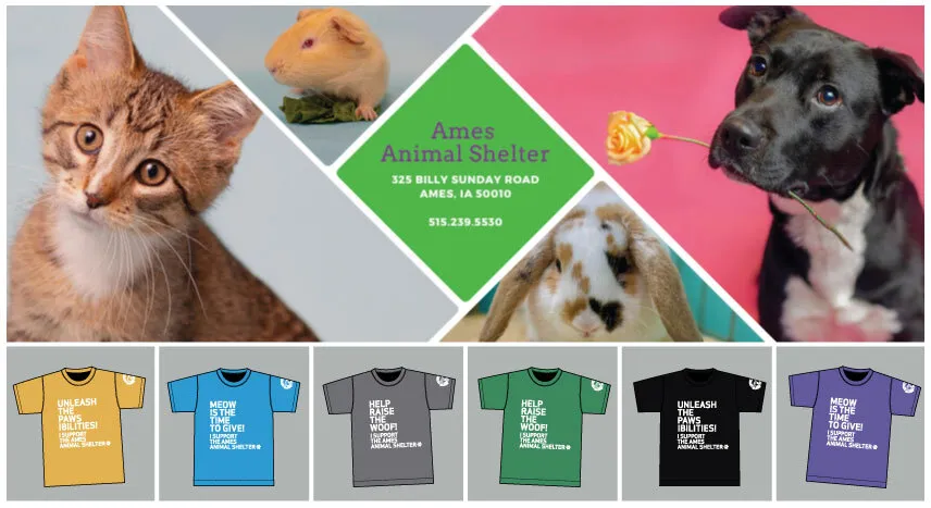 We are so excited to share that Ames Animal Shelter fundraising t-shirts are now available to order!

Every shirt you buy directly supports the construction of a new shelter. Please join our effort to create a better place to help animals in Ames!

heuss.presencehost.net/customerdesign…