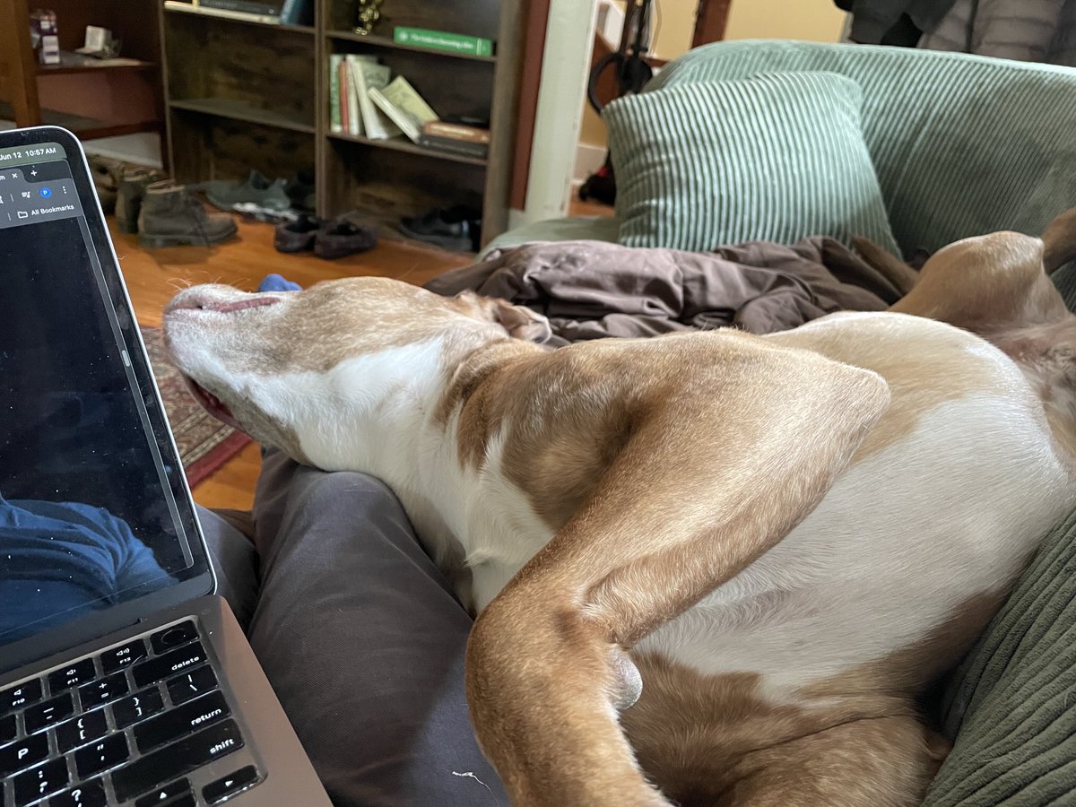 Anyone else have this challenge while trying to work? 😬