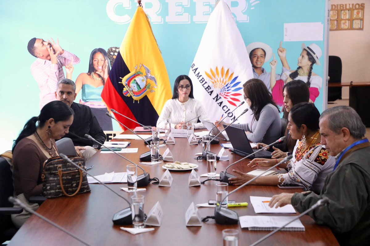 En el desarrollo de la sesión Nro. 004 la Comisión de Protección Integral a Niñas, Niños y Adolescentes recalcó que trabajan por el bienestar de los niños, niñas y adolescentes.
