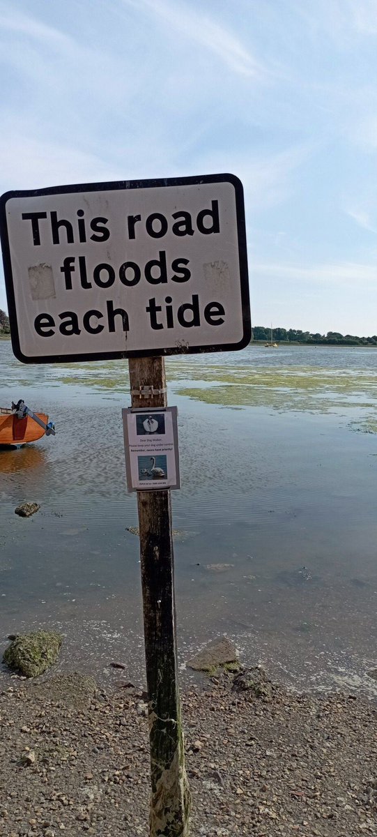 npellinacci's tweet image. May #walking catch-up: Bosham: