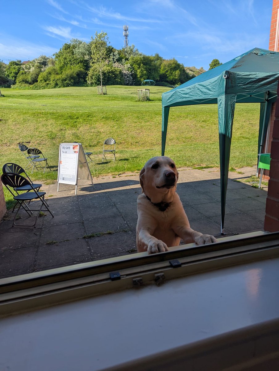 CommunityWorcs's tweet image. Stretch, Smile &amp;amp; Sip!  Sundays 09:30–10:30 with Park Yoga at Brickfields Park (KGV Playing Fields). Whether you&apos;re a seasoned yogi or fancy doing something new, this is your opportunity to reset. 🧘🏾‍♀️
All welcome and the Mix Cafe is open.

#ParkYogaWorcester #SundayStretch #ONSIDE