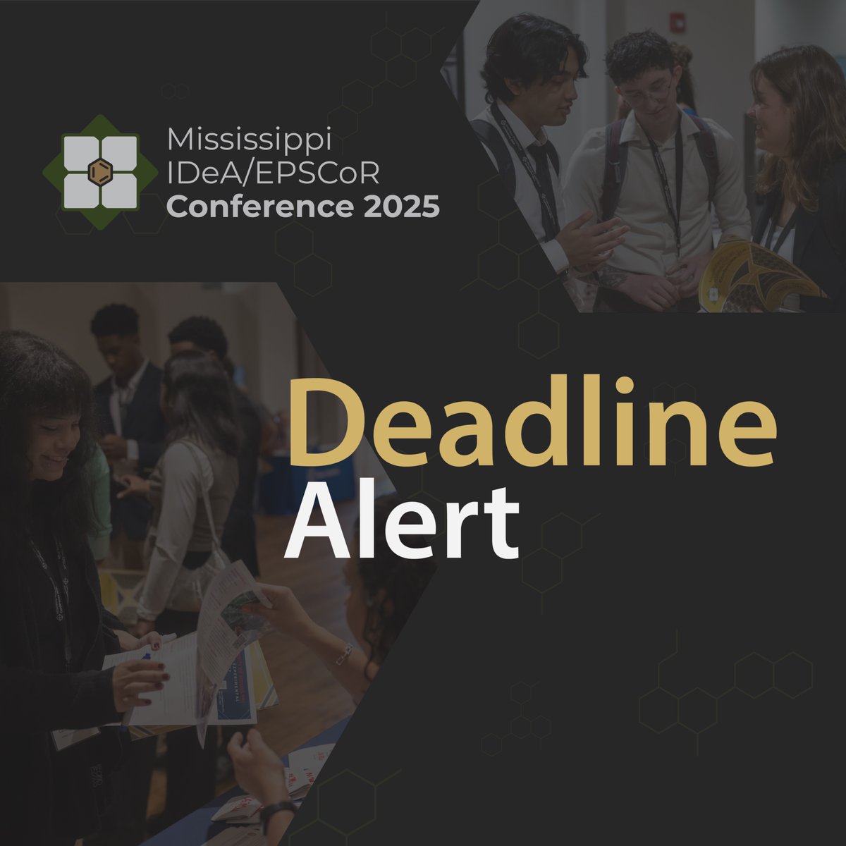 🚨🚨Last call to apply for a FREE academic exhibitor booth at #MIEC25! Applications due by 11:59 PM CST TONIGHT: msinbre.org/miec25-academi…