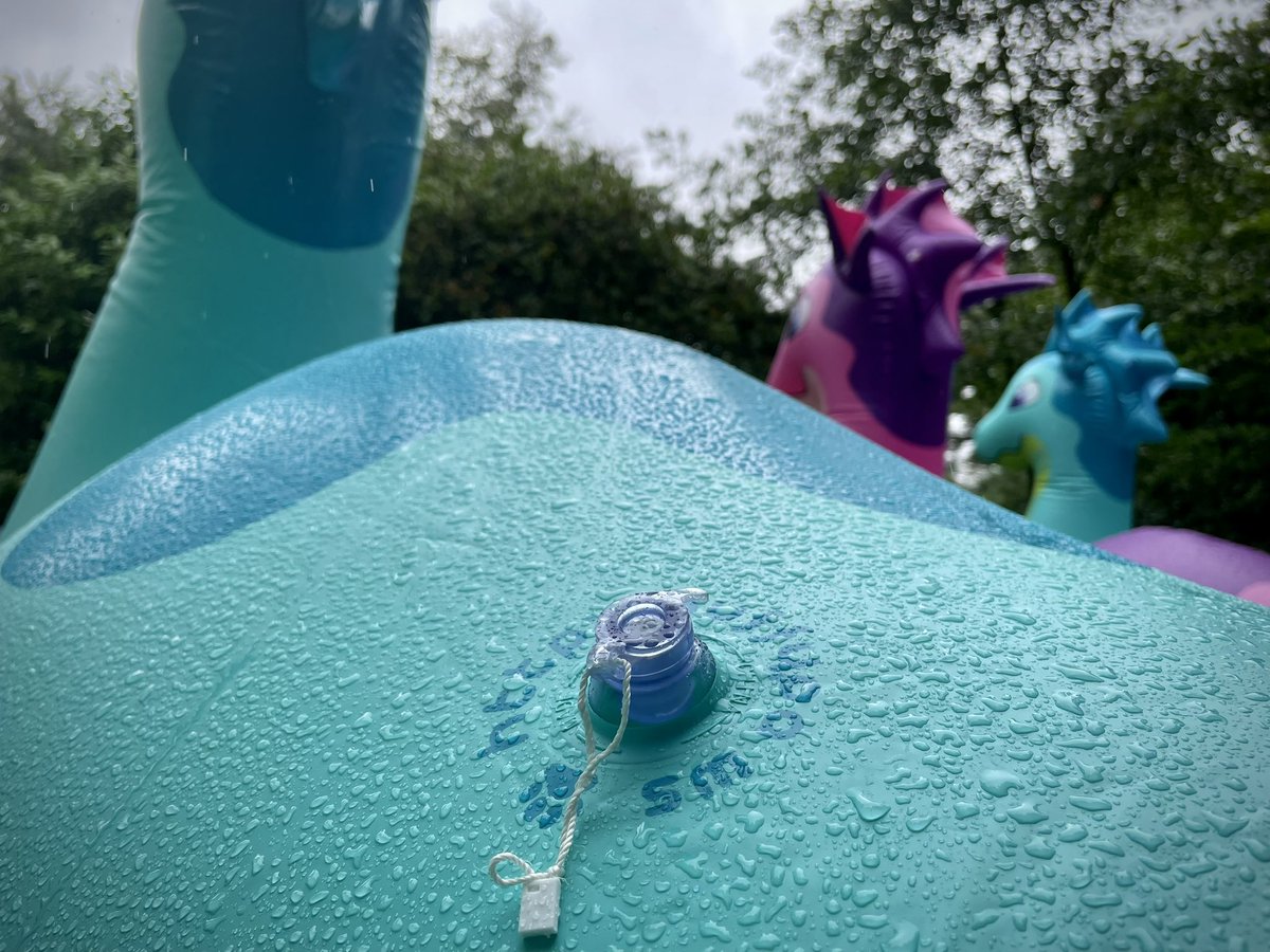 GirlLowrider's tweet photo. Squeaky Seadragons Meet 

#puffypaws #inflatable https://t.co/ETSf0If59m