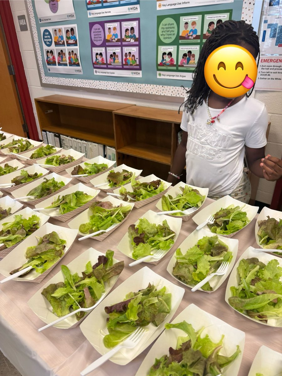 JacksonRdCSL's tweet image. It was time to harvest lettuce for 2nd Grade’s Salad Science Party today! 🥬 💚 @GoNatureForward @velasquez_mcps @JacksonRoadAP
