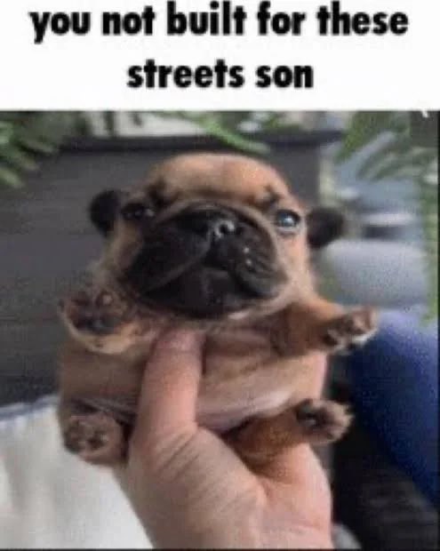 When you introduce your casual gamer friend to fighting games: #StreetFighter #GUILTYGEAR #TEKKEN #MarvelTokonFightingSouls #MortalKombat