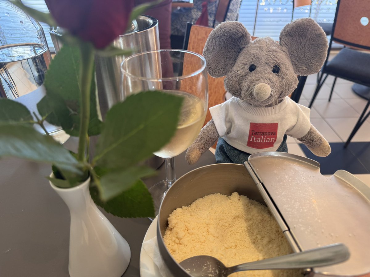 Great to be back at the Terranova for dinner. 
Tonight, I’ve gone straight for the main event with a small Parmesan. 
I might get a side of Parmesan to go with it!