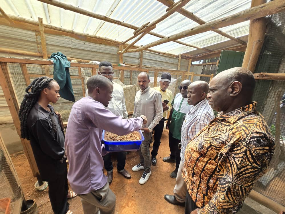 PELUM Uganda (@pelum_uganda) on Twitter photo <a href="/pelum_uganda/">PELUM Uganda</a> was honored to host the PELUM DRC Country Chapter for an experience-sharing visit from 8th to 12th June 2025. The delegation expressed deep appreciation for strengthened capacity in governance, program delivery, and operational systems. <a href="/pelum_uganda/">PELUM Uganda</a> was honored to host the PELUM DRC Country Chapter for an experience-sharing visit from 8th to 12th June 2025. The delegation expressed deep appreciation for strengthened capacity in governance, program delivery, and operational systems.