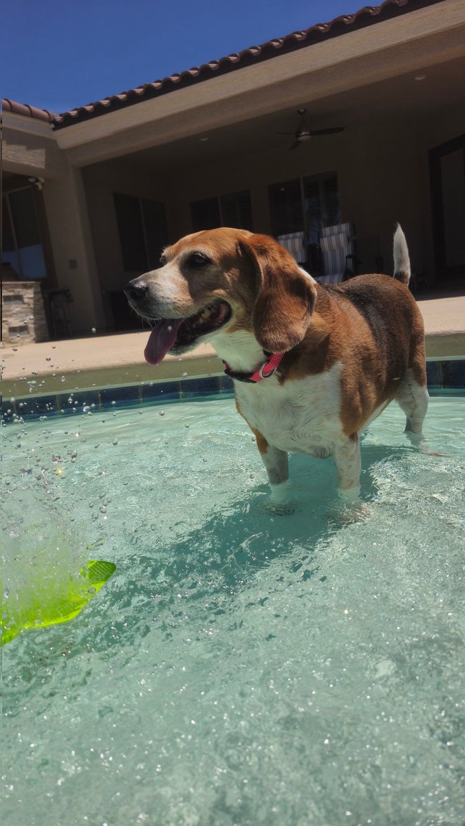 DeCarleyTrading.com tweet media