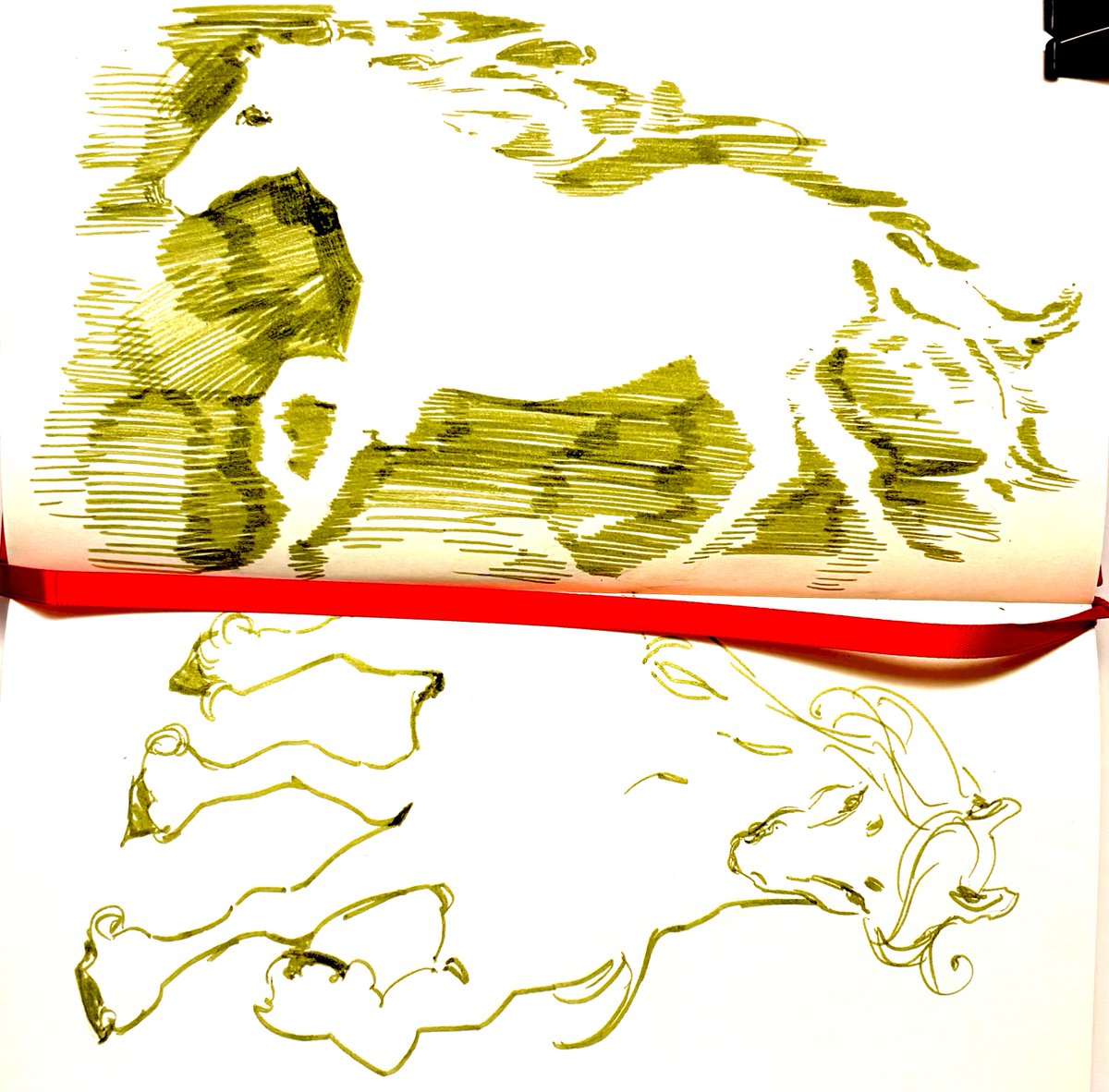 :D (@baldtreee) on Twitter photo 