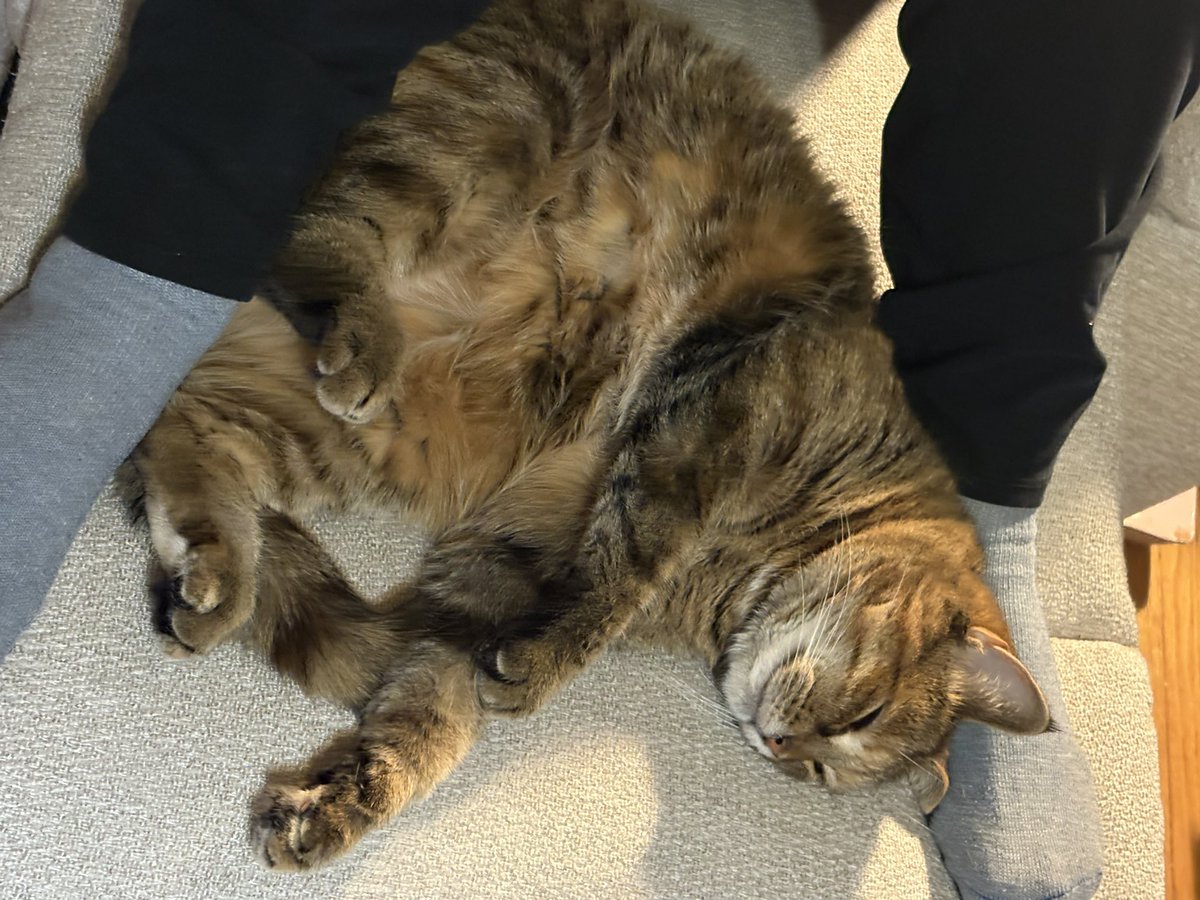 I believe someone is very happy to see Cathy come home after her cataract surgery. 🙂