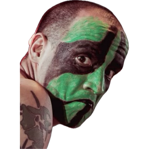 Mr. Iguana tweet media