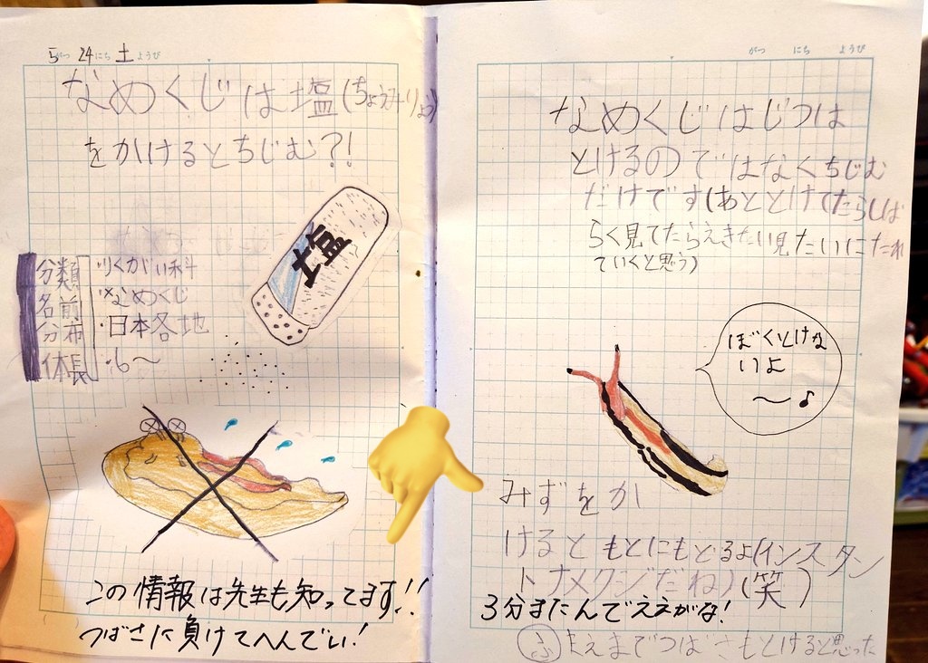 家庭学習プログラム 年中 11ヶ月分 家庭学習プログラム 年中 11ヶ月分
