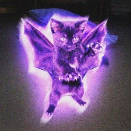 Gagakeb's tweet photo. @LaunchOnPump $auramew + AuraWifMeow https://t.co/Ll7DH1VFqY