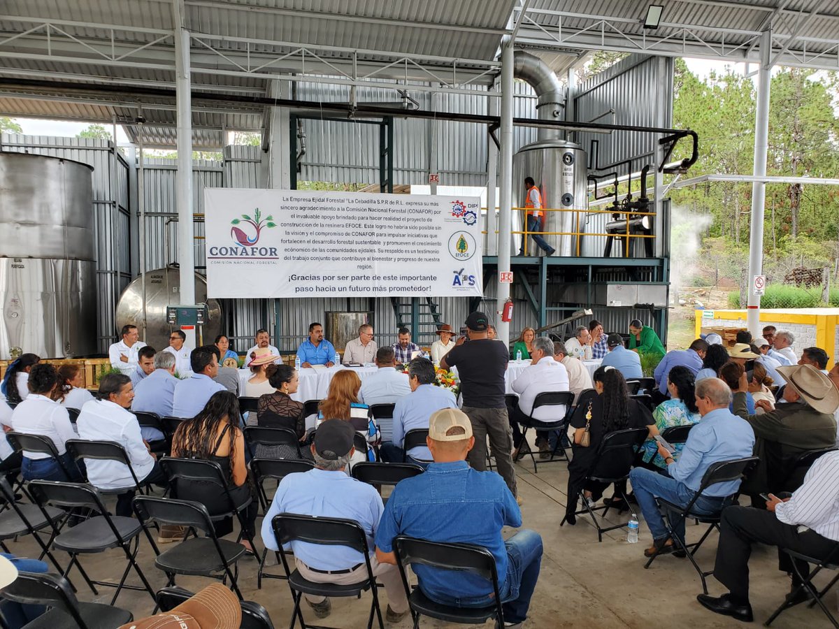 CONAFOR (@conafor) on Twitter photo En #Michoacán, el director general de la CONAFOR, <a href="/sergio_grafm/">Sergio Graf Montero</a>, participó en el arranque de la planta destiladora de resina de la Empresa Ejidal Forestal La Cebadilla, S.P.R. de R.L🏭. En #Michoacán, el director general de la CONAFOR, <a href="/sergio_grafm/">Sergio Graf Montero</a>, participó en el arranque de la planta destiladora de resina de la Empresa Ejidal Forestal La Cebadilla, S.P.R. de R.L🏭.