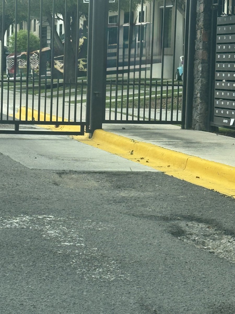 MariaAvalosGda's tweet photo. @mpio_El_Marques Buen día, afuera del Condominio Freixente hay un bache en la vía pública. Las calles exteriores son municipales. ¿Nos podrían apoyar con su reparación o pavimentación? ¡Gracias por su atención! https://t.co/lgMzUTKrMt