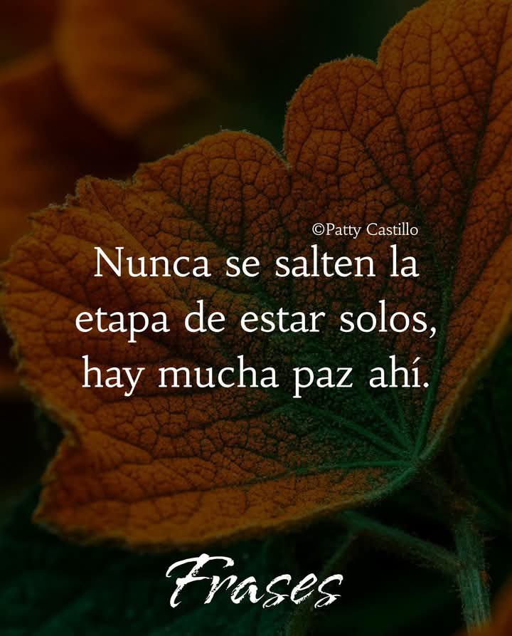 Buenas noches.