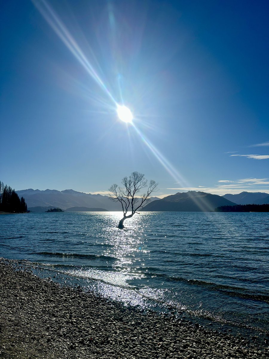 essieheart's tweet photo. Wanaka Lake and that Wanaka Tree. 🏝️ https://t.co/0VFZSjYWBW