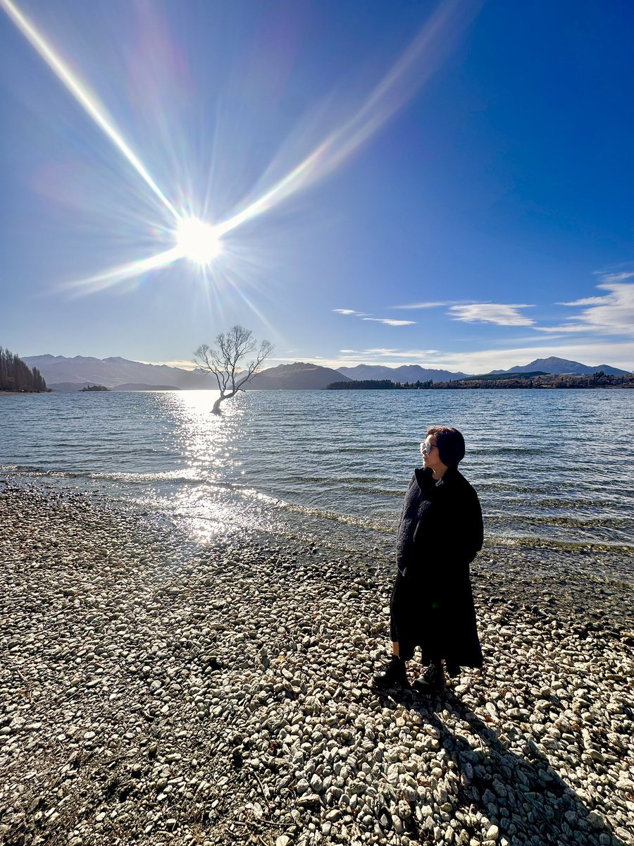 essieheart's tweet photo. Wanaka Lake and that Wanaka Tree. 🏝️ https://t.co/0VFZSjYWBW