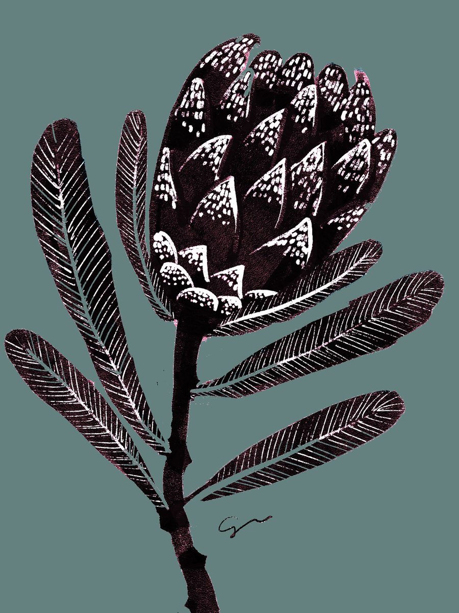 本日のプロテア
#illustration #ipadpro