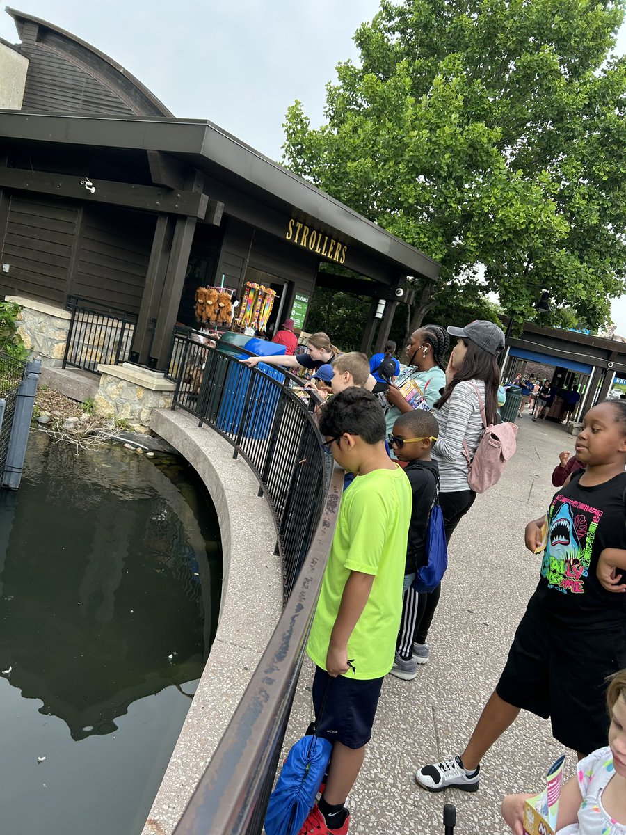 Maria Cook tweet media