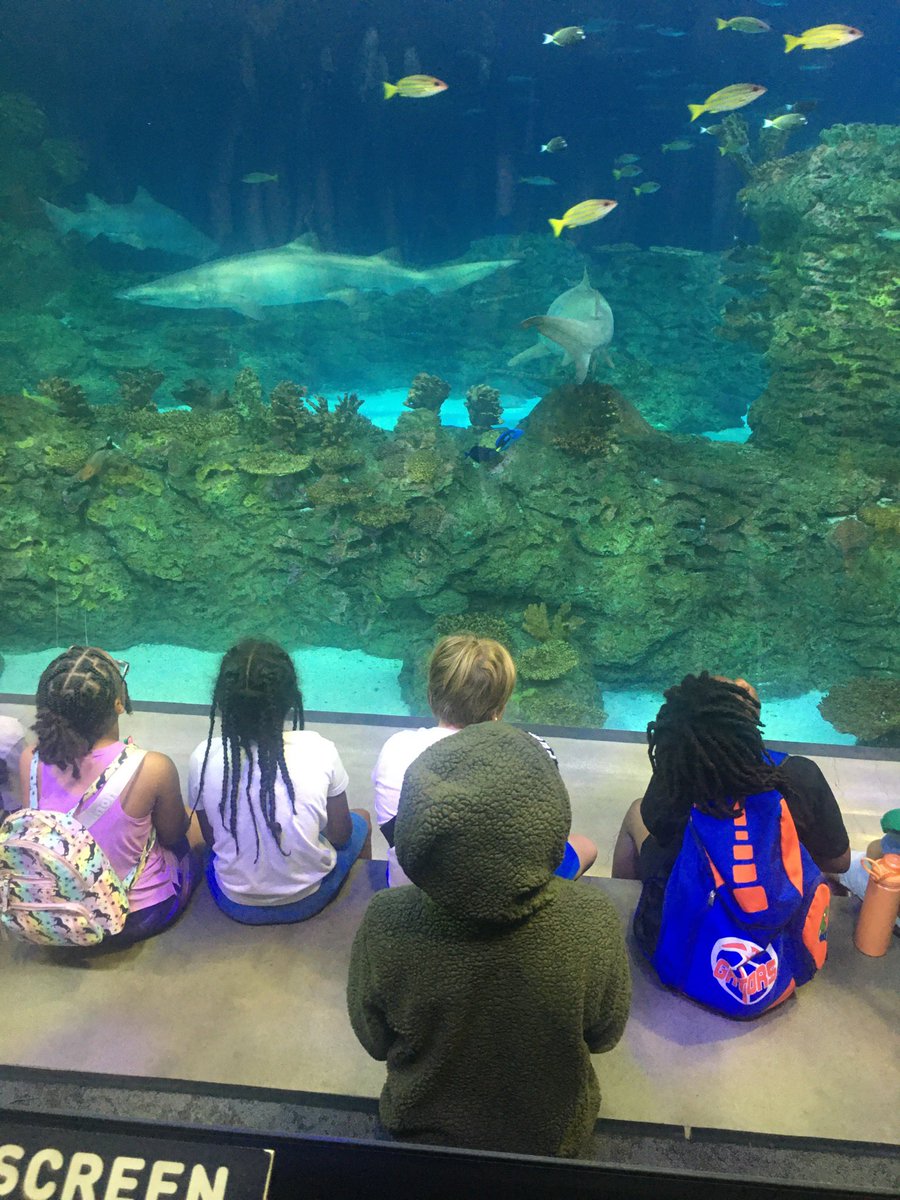 Maria Cook tweet media