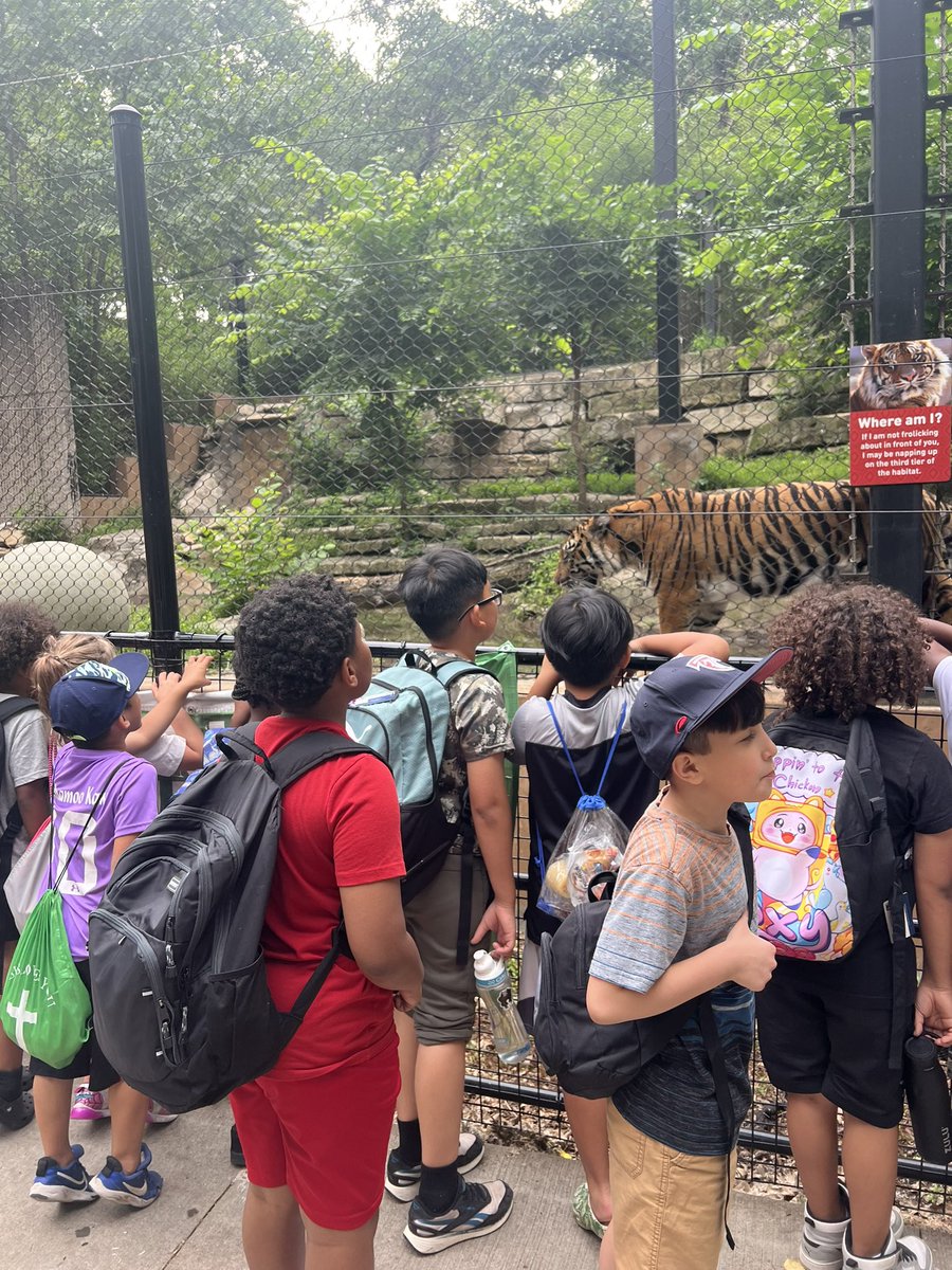 Maria Cook tweet media