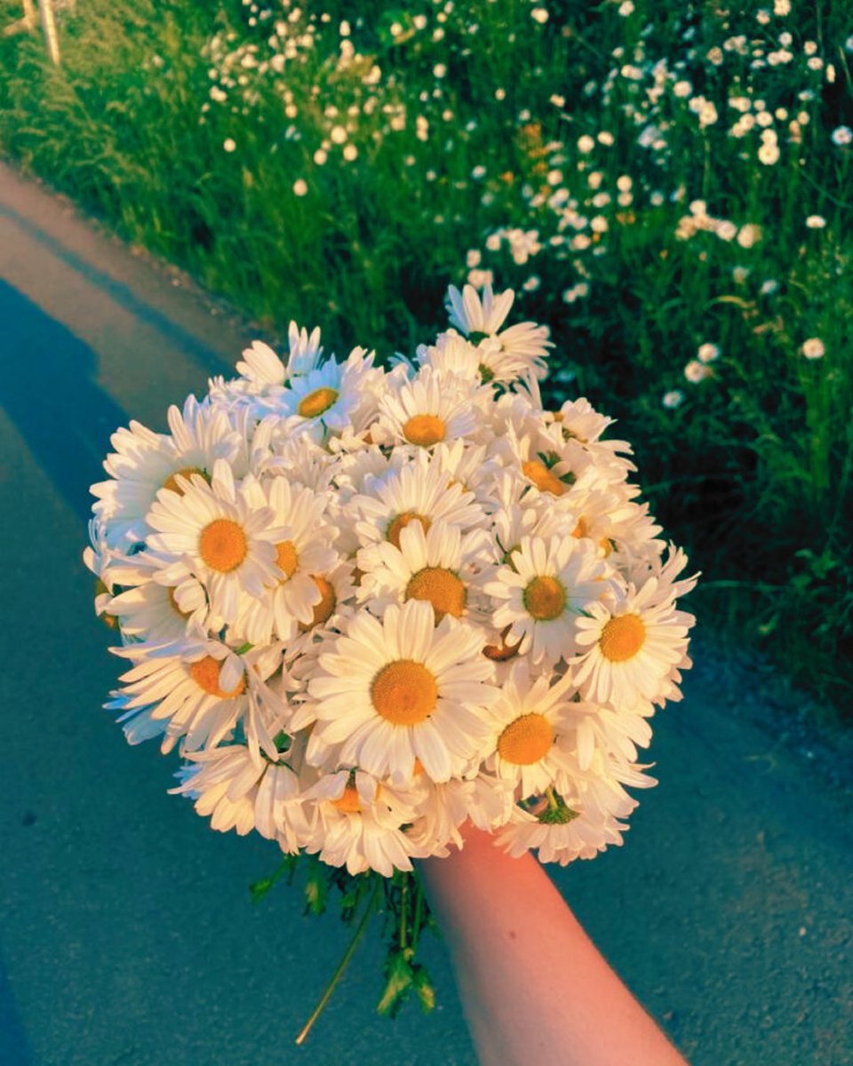 mnpoggi's tweet photo. Hoje é o nosso primeiro dia dos namorados juntos, e eu não poderia me sentir mais completo! Te amo mais que ontem e menos que amanhã, Miguelito! 💕 💐 https://t.co/njYANVkrjb