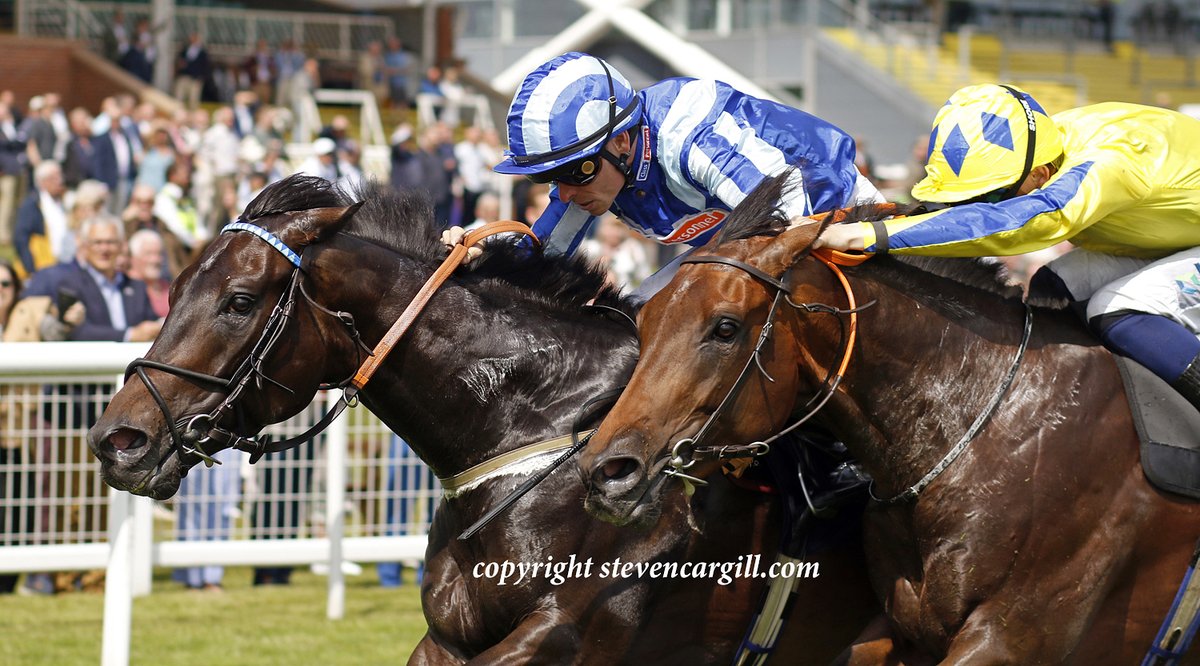Steven_Cargill's tweet photo. 5th start, 1st win for gelding AMERICAN STATE (Arizona) in 8f 3yo handicap @NewburyRacing today for @patowensracing https://t.co/i9KrAtRLUN