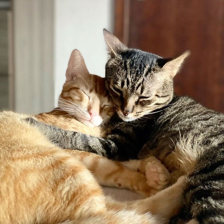 Feliz Dia dos Namorados 💘