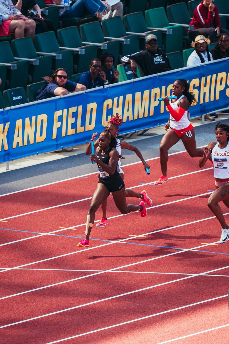 Florida State T&F/XC tweet media