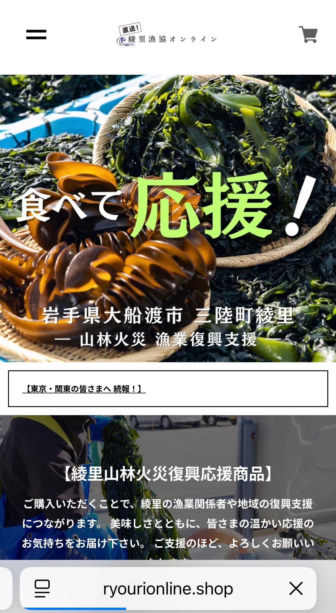韓国 ファッション通販 あいきょ🧊🪽  X: on バッグ
