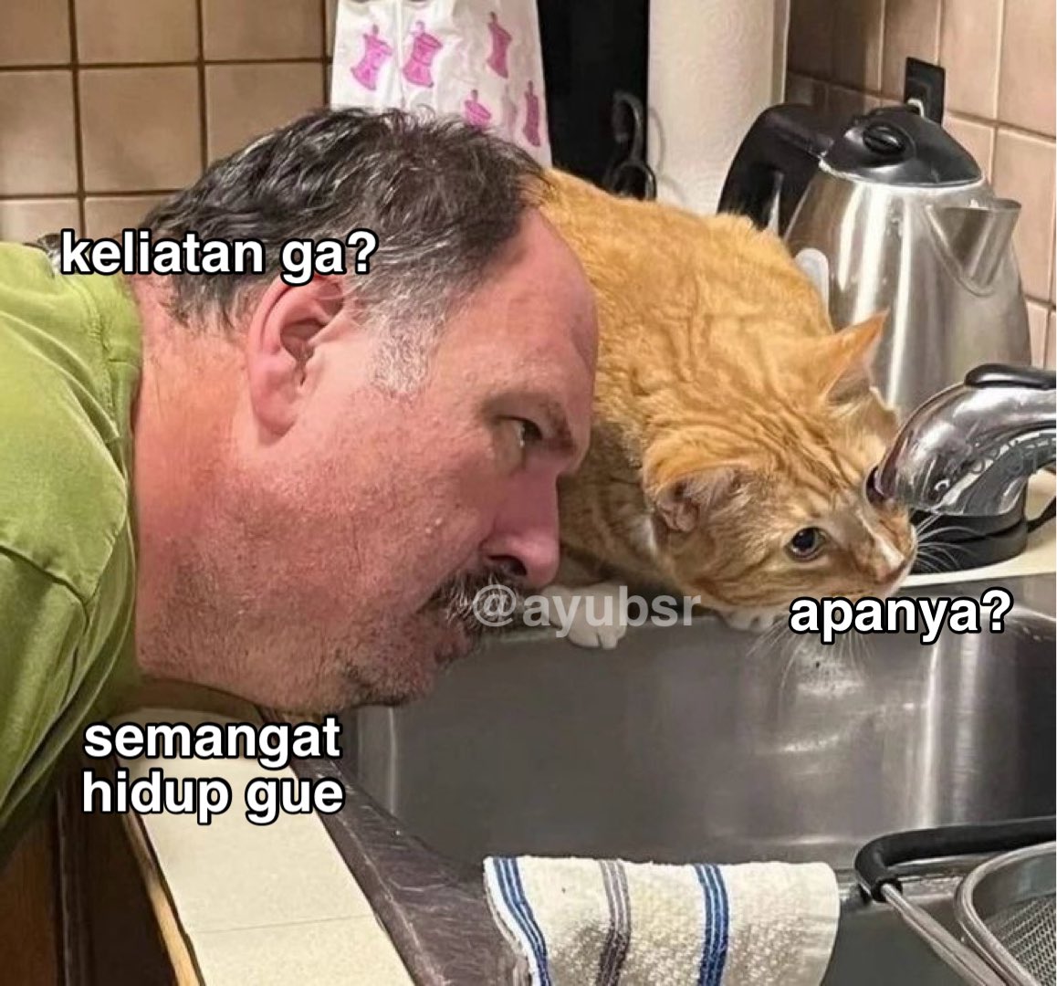 ayubsr's tweet image. 